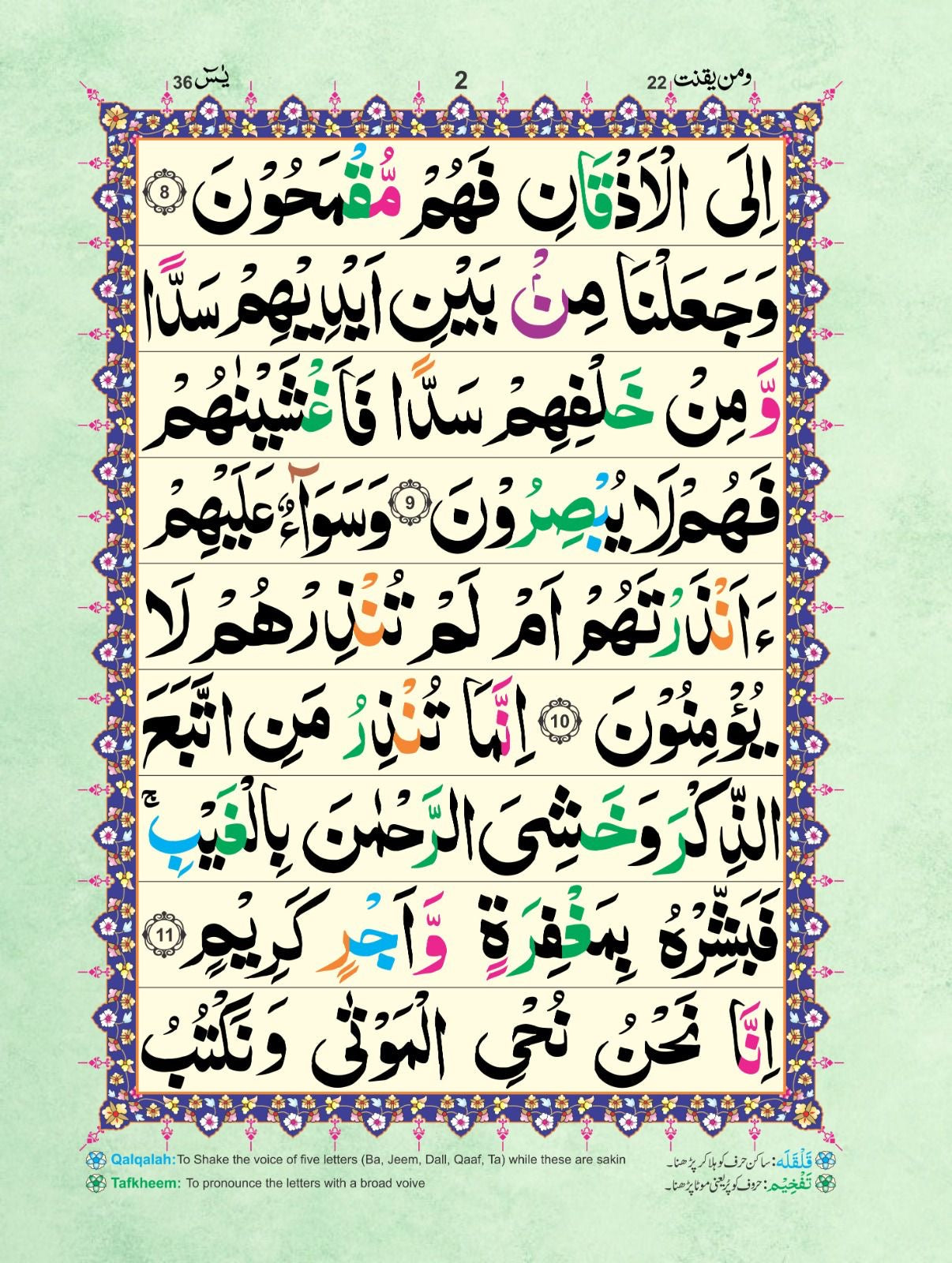 Sorah Yaseen Tajweedi 16 pages 50?MK