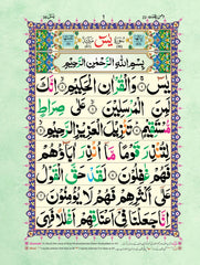 Sorah Yaseen Tajweedi 16 pages 50?MK