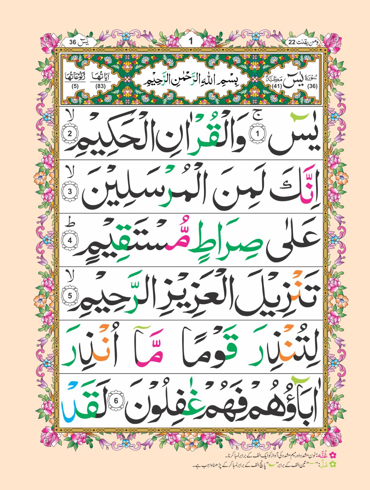 Sorah Yaseen Tajweedi 
24 pages 51/MK