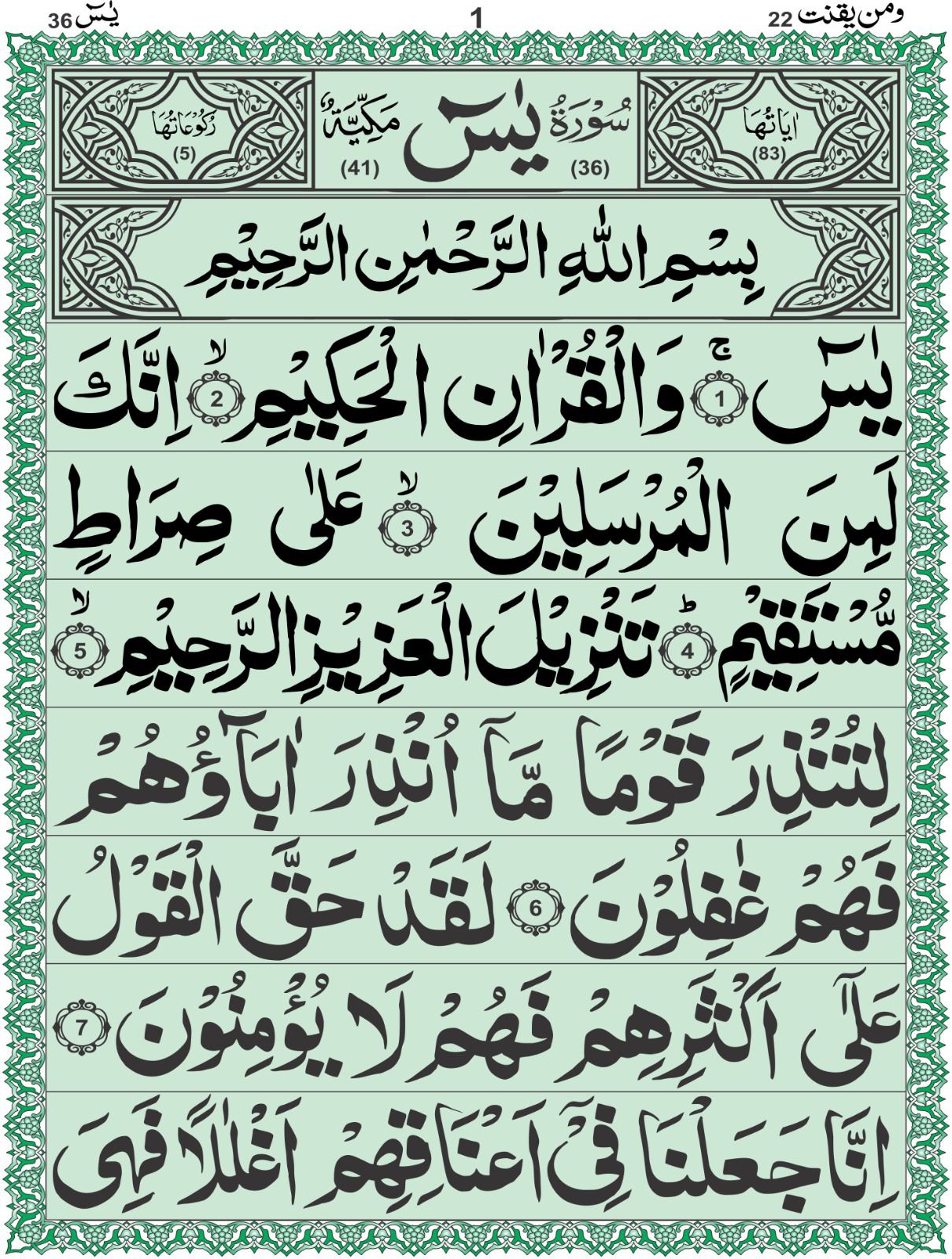 Soorah Yaseen 
16 pages 52/A