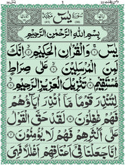 Soorah Yaseen 
16 pages 52/A