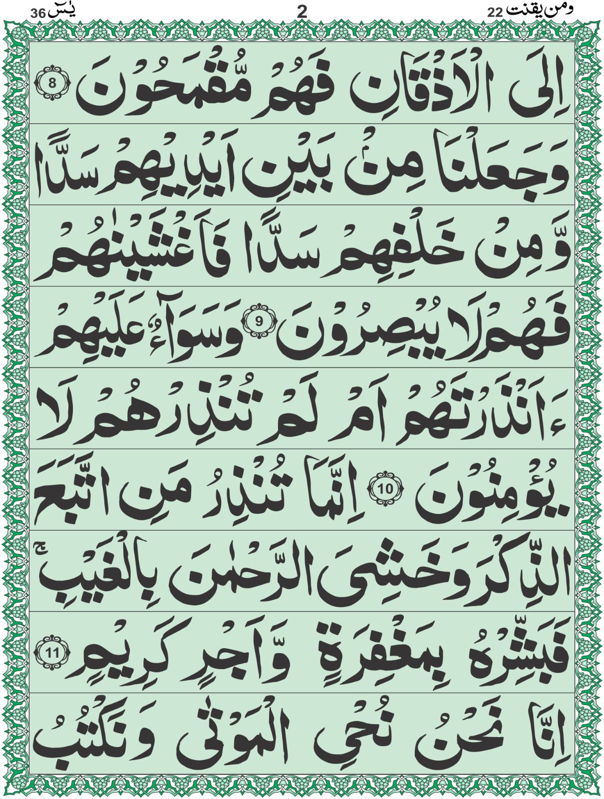 Soorah Yaseen 
16 pages 52/A