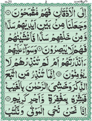 Soorah Yaseen 
16 pages 52/A
