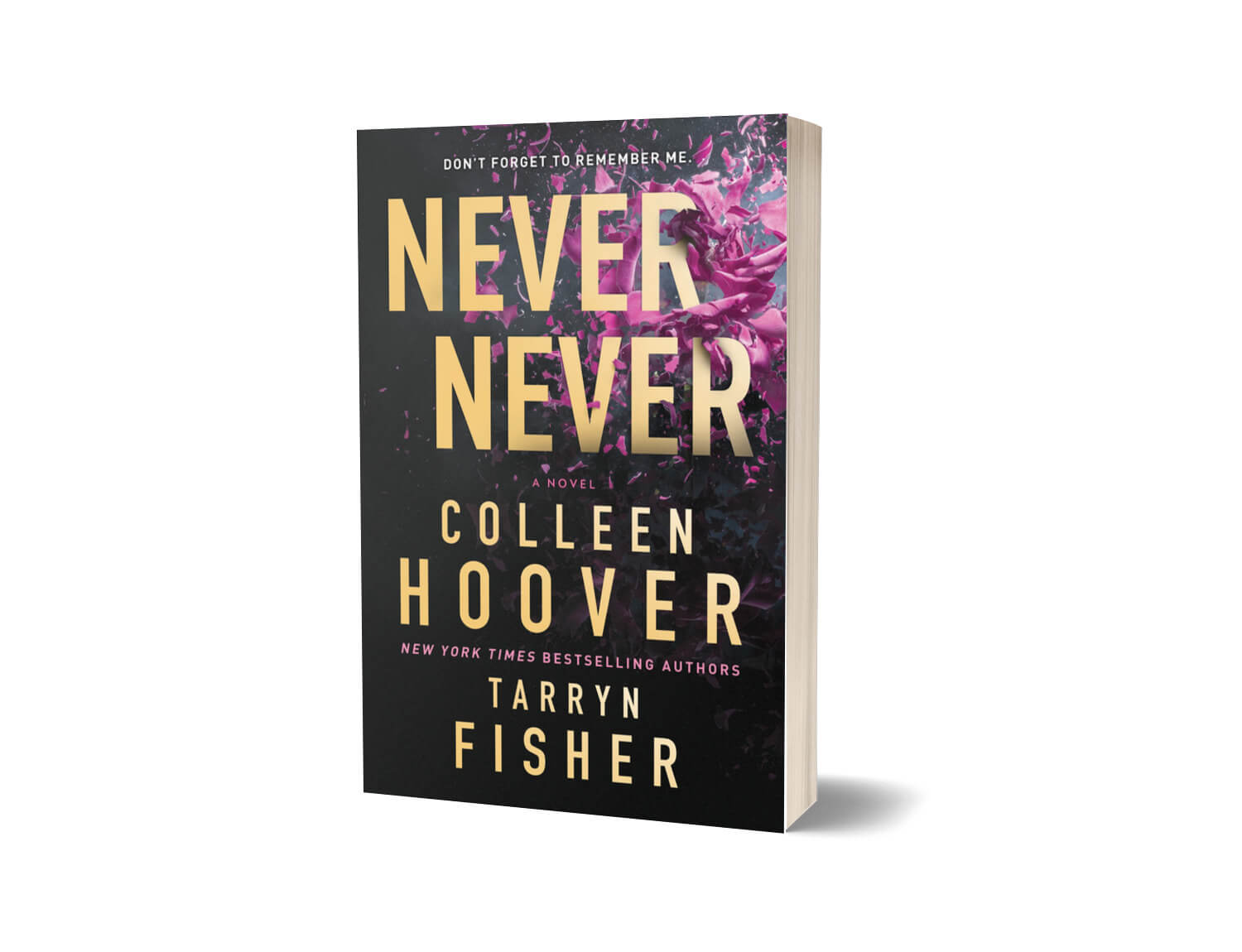 Never Never A Novel By Colleen Hoover & Tarryn Fisher - MAJEED BOOK STORE