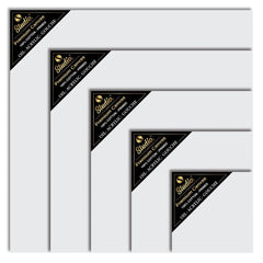 Studio Premium Canvas For Professionals