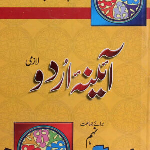 Pilot Aaina Urdu Key Book Grammar Class-9 - MAJEED BOOK STORE