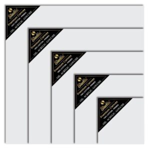 Studio Premium Canvas For Professionals